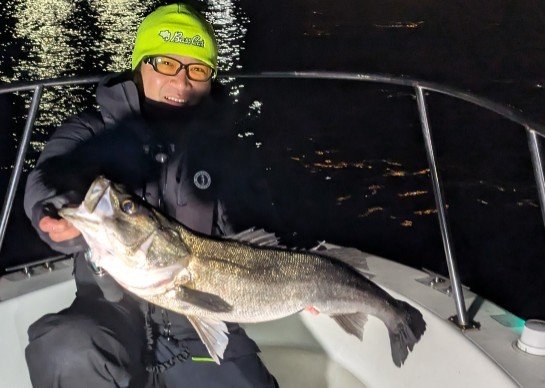 シーバス(スズキ)