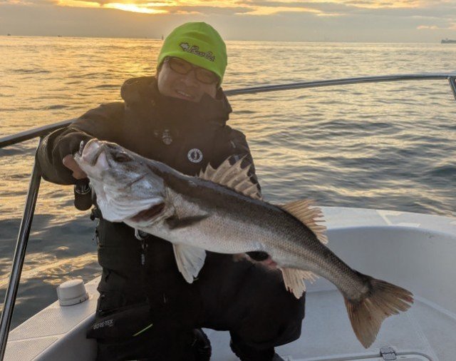 シーバス(スズキ)