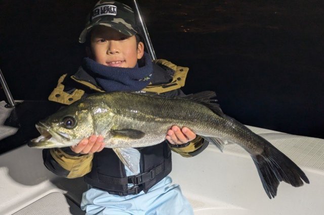 シーバス(スズキ)