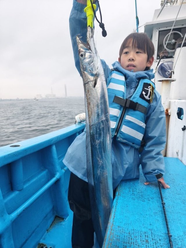 タチ(タチウオ)