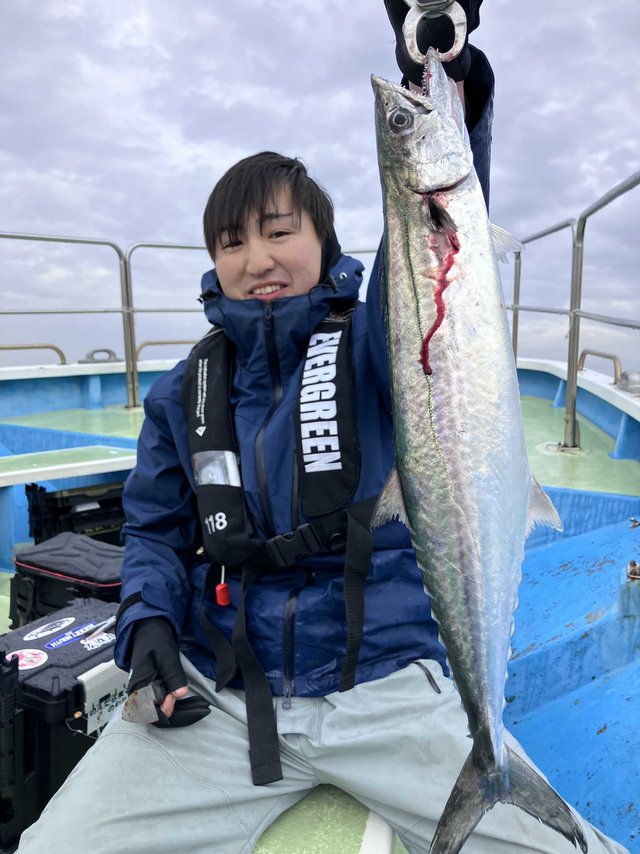 サゴシ(サワラ)