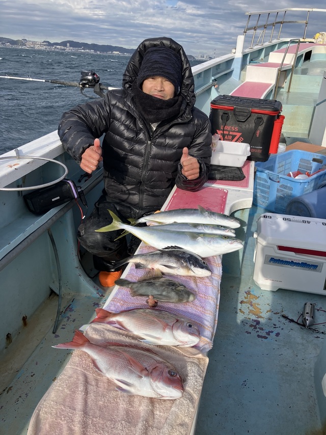 マダイ・クロダイ・イナダ(ブリ)