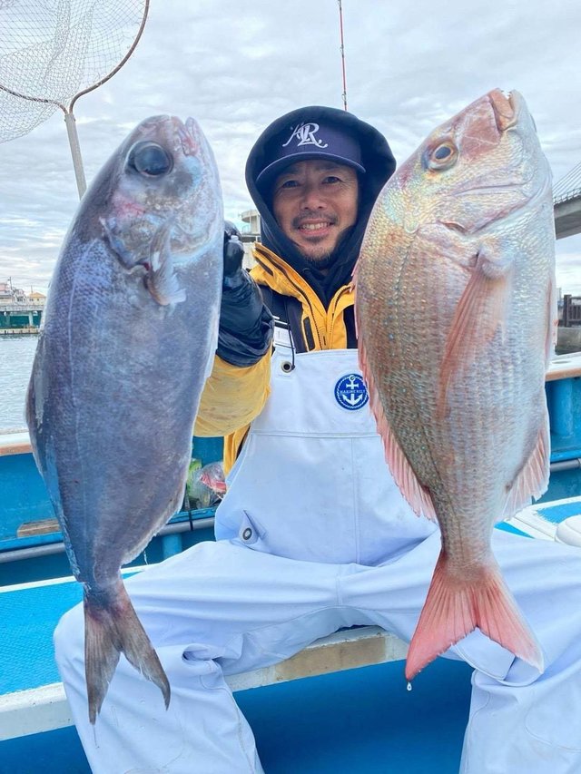 マダイ・メダイ