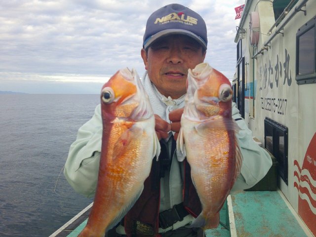 アマダイ(アカアマダイ)