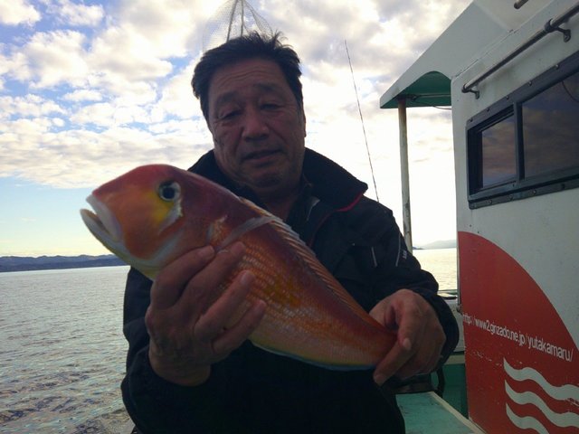 アマダイ(アカアマダイ)