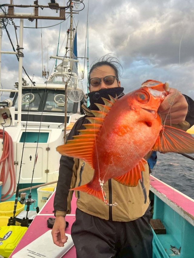 キントキ(チカメキントキ)