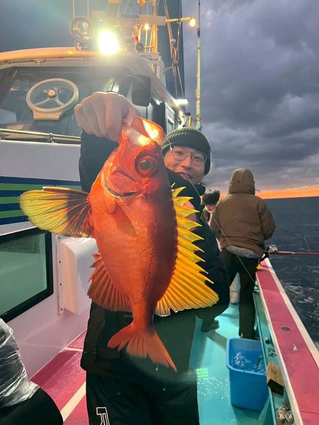 キントキ(チカメキントキ)