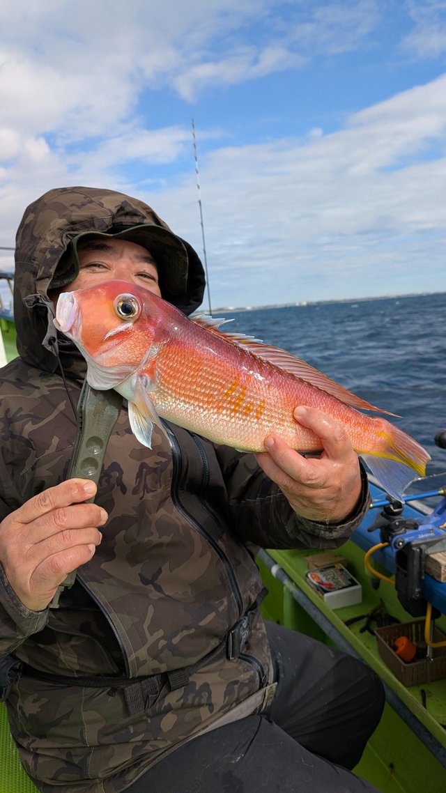 アマダイ(アカアマダイ)