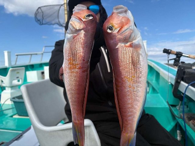 アマダイ(アカアマダイ)