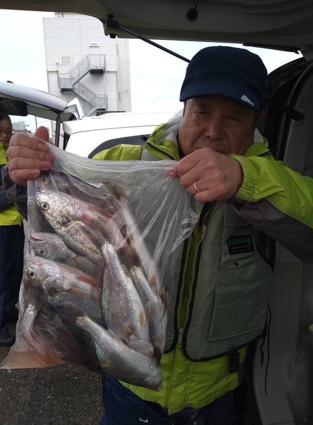 イシモチ(シログチ)