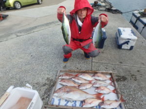 マダイ・イナダ(ブリ)