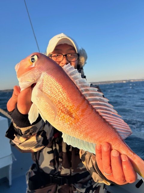 アマダイ(アカアマダイ)