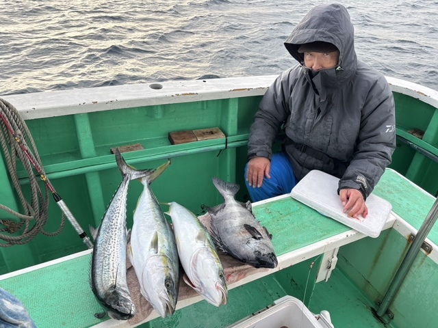 イシダイ・ワラサ(ブリ)・サワラ