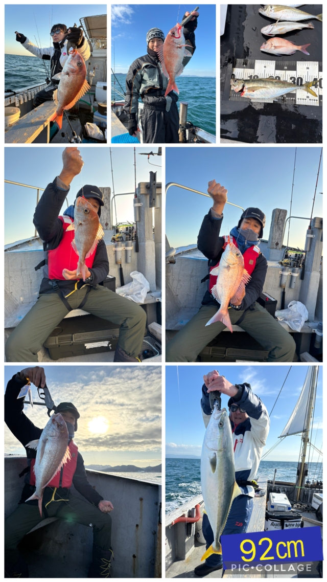 タイ(マダイ)・アジ(マアジ)・ブリ