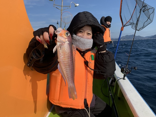 アマダイ(アカアマダイ)