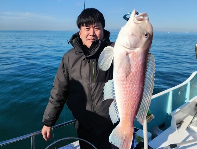 アマダイ(アカアマダイ)