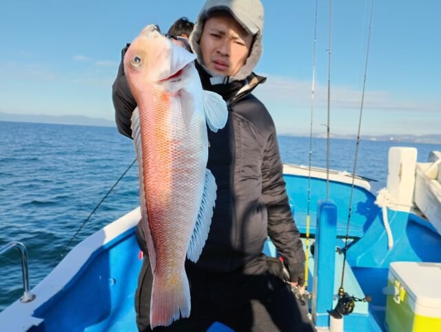 アマダイ(アカアマダイ)