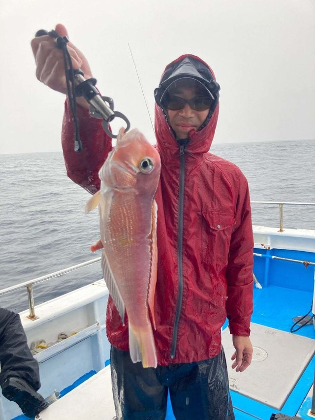 アマダイ(アカアマダイ)