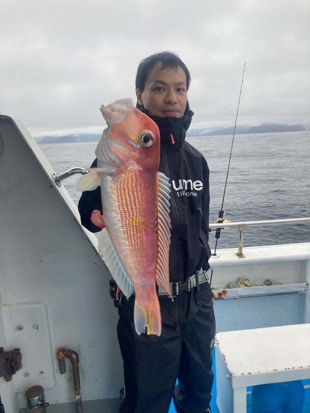 アマダイ(アカアマダイ)