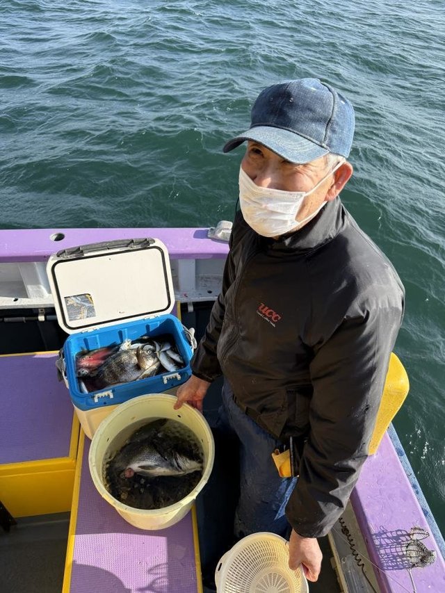 クロダイ・アジ(マアジ)