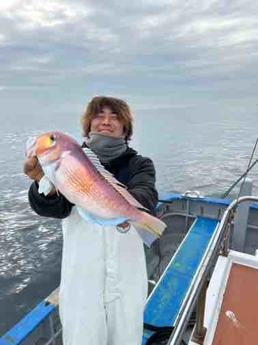 アマダイ(アカアマダイ)