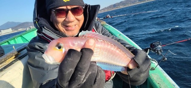 アマダイ(アカアマダイ)