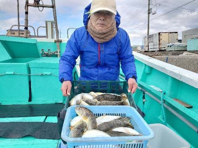 ショウサイフグ