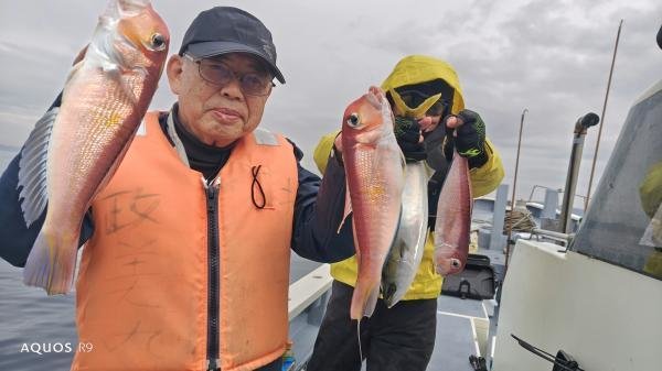 アマダイ(アカアマダイ)