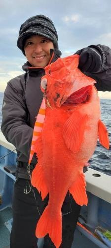 オキカサゴ(ウッカリカサゴ)