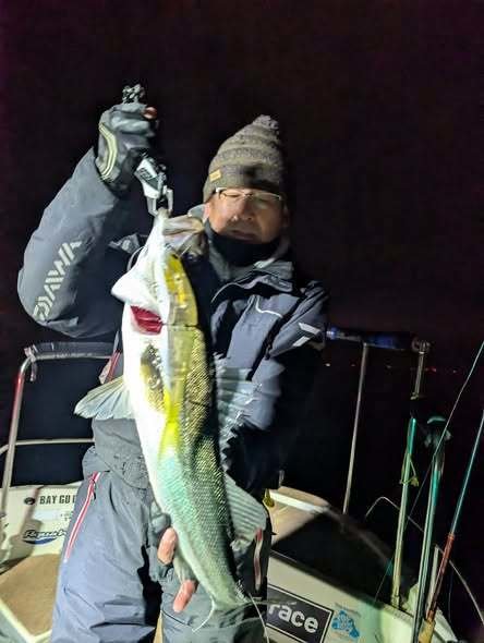 シーバス(スズキ)