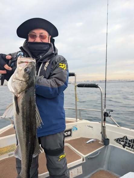 シーバス(スズキ)