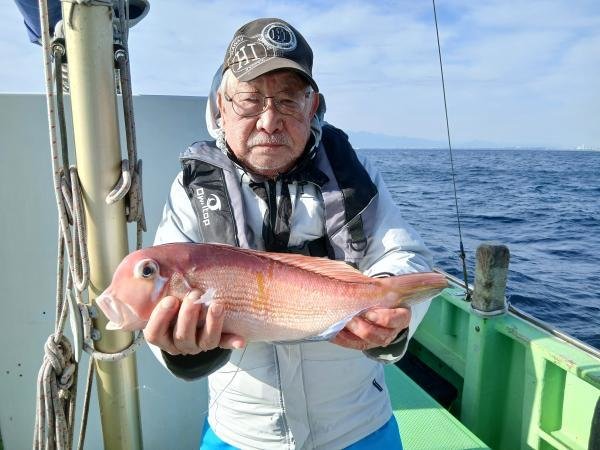 アマダイ(アカアマダイ)