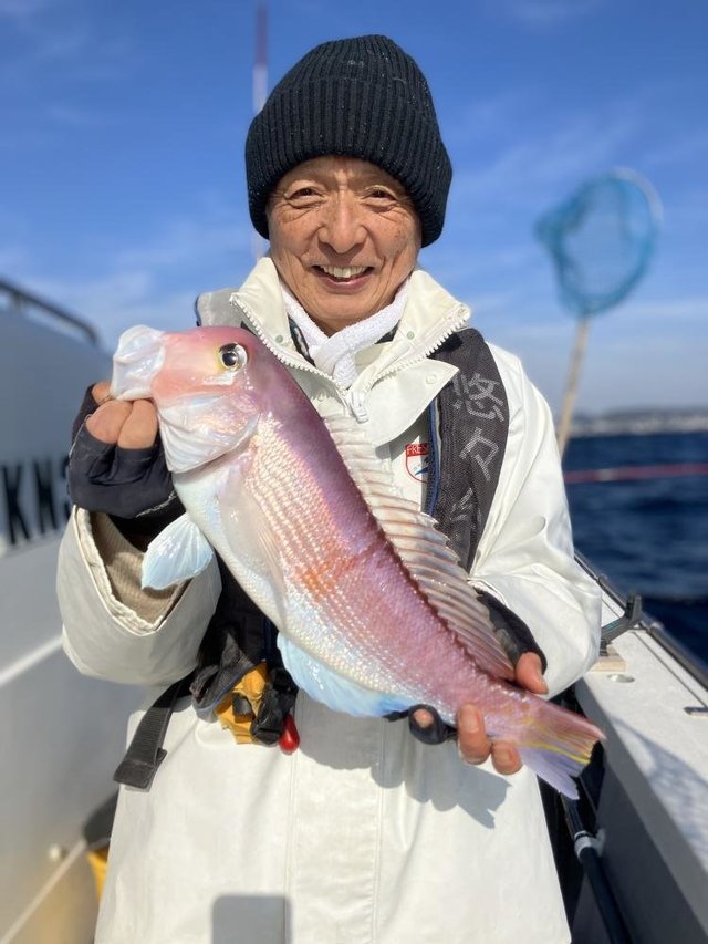 アマダイ(アカアマダイ)