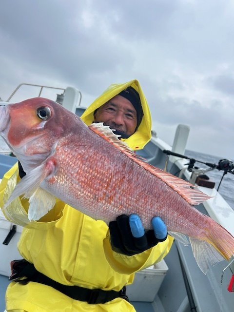 アマダイ(アカアマダイ)