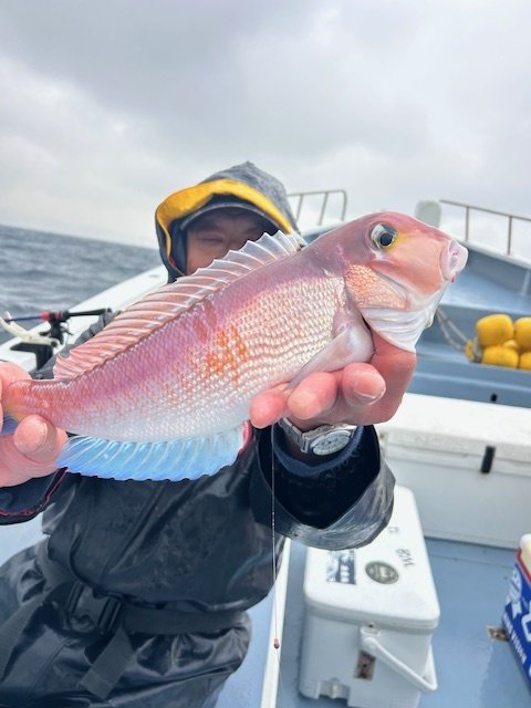 アマダイ(アカアマダイ)