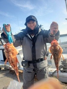 カンコ(ウッカリカサゴ)