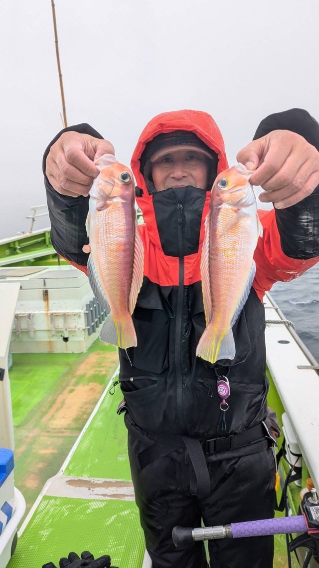 アマダイ(アカアマダイ)