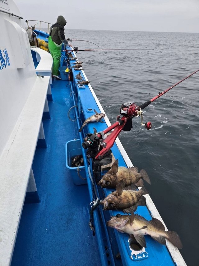 シロメバル(メバル)