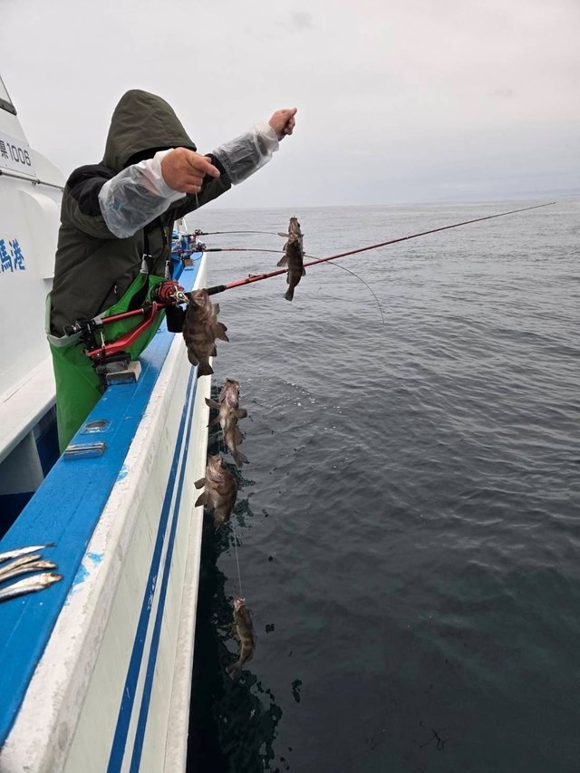 シロメバル(メバル)