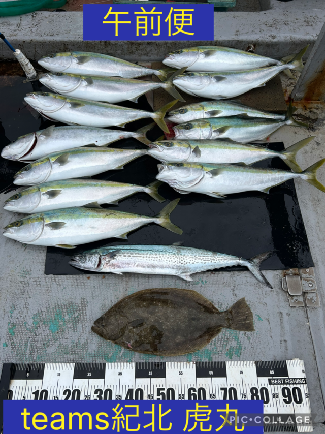 メジロ(ブリ)・サワラ・ヒラメ