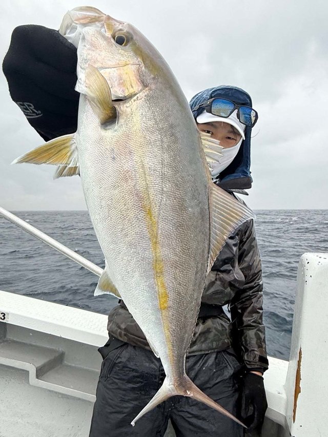 ショゴ(カンパチ)