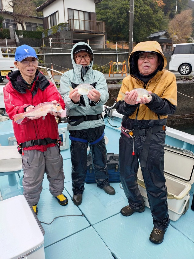 カイワリ・アマダイ(アカアマダイ)