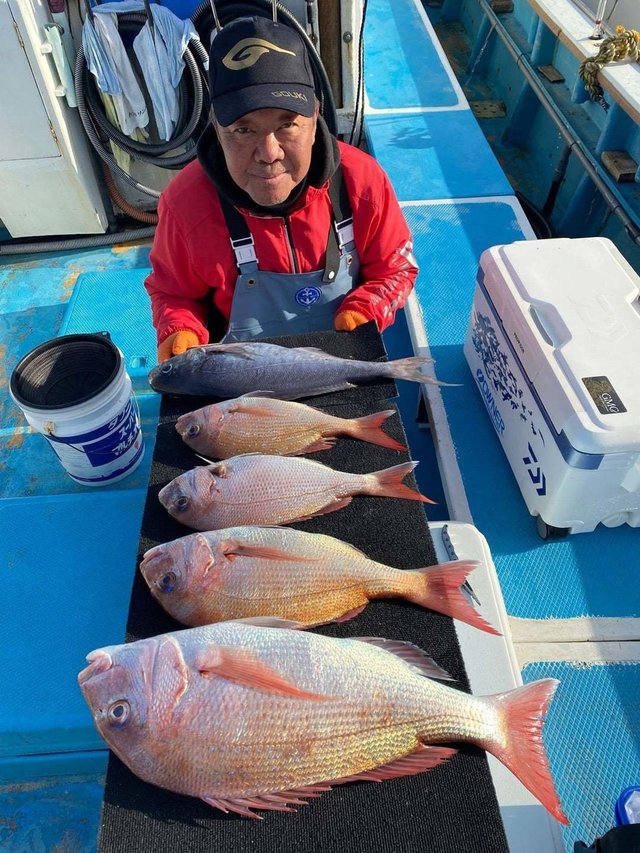 マダイ・メダイ