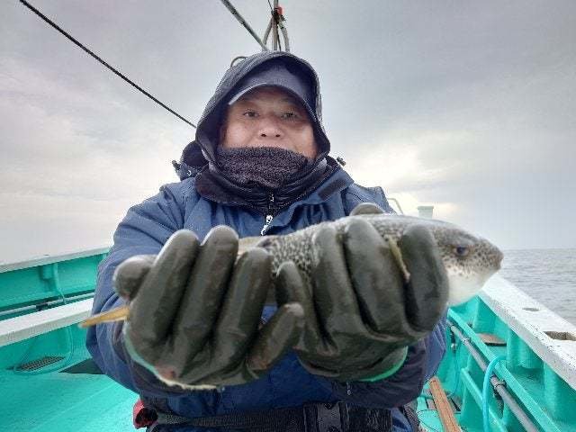 ショウサイフグ