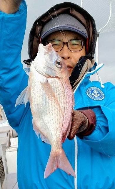 ハナダイ(チダイ)