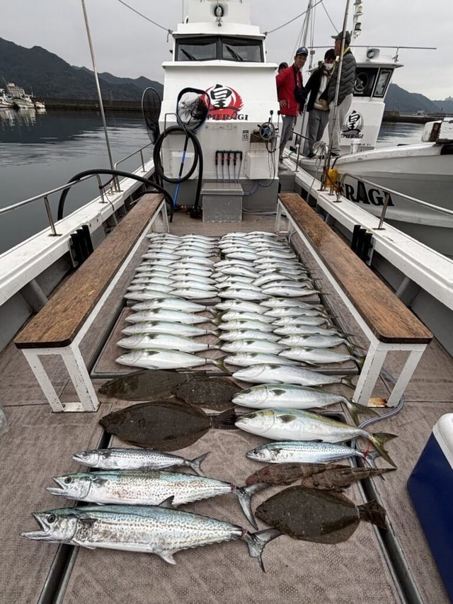 ブリ・サワラ・マゴチ・ヒラメ