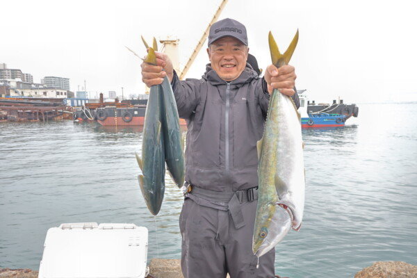 ハマチ(ブリ)・メジロ(ブリ)