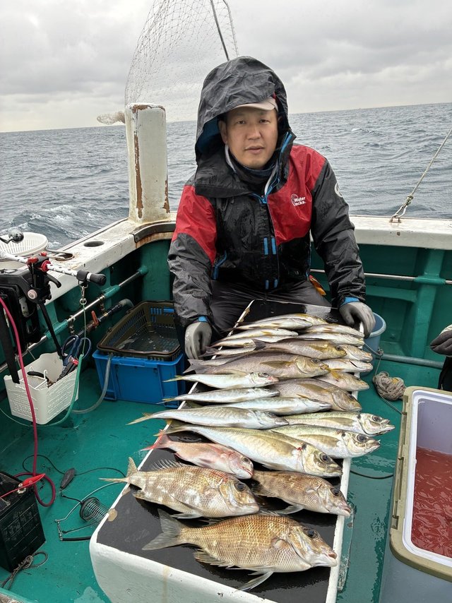 マアジ・メイチダイ