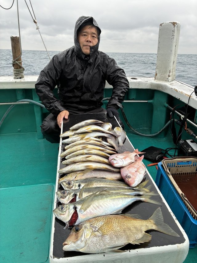 マアジ・メイチダイ