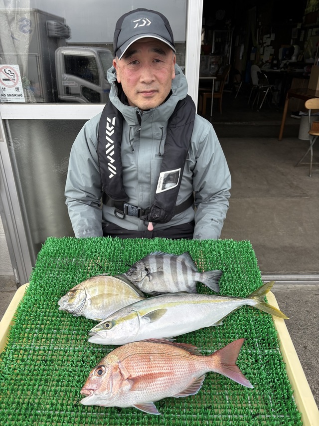 ハナダイ(チダイ)・イシダイ・イナダ(ブリ)